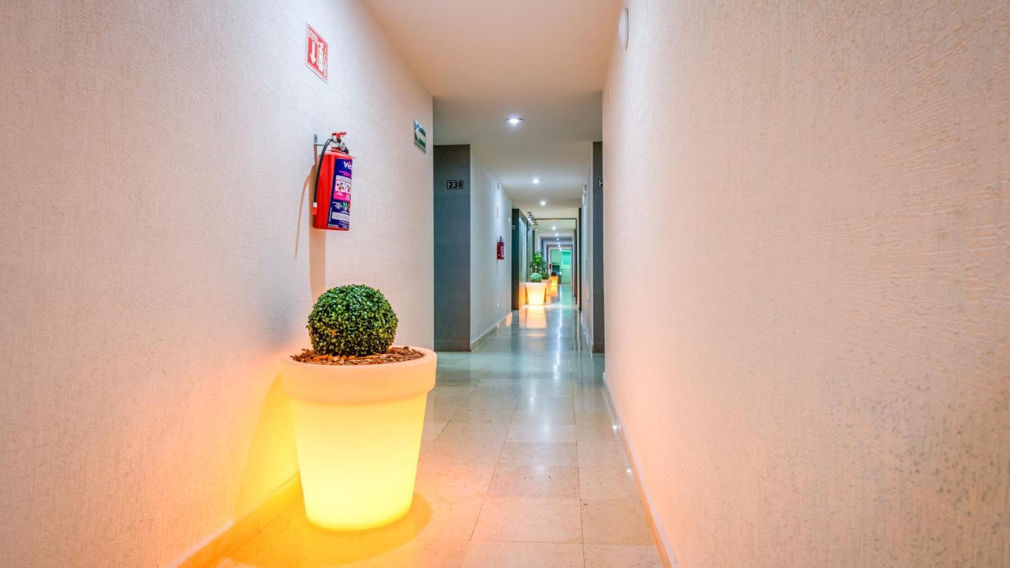Homesuites Rotarismo Culiacán Buitenkant foto